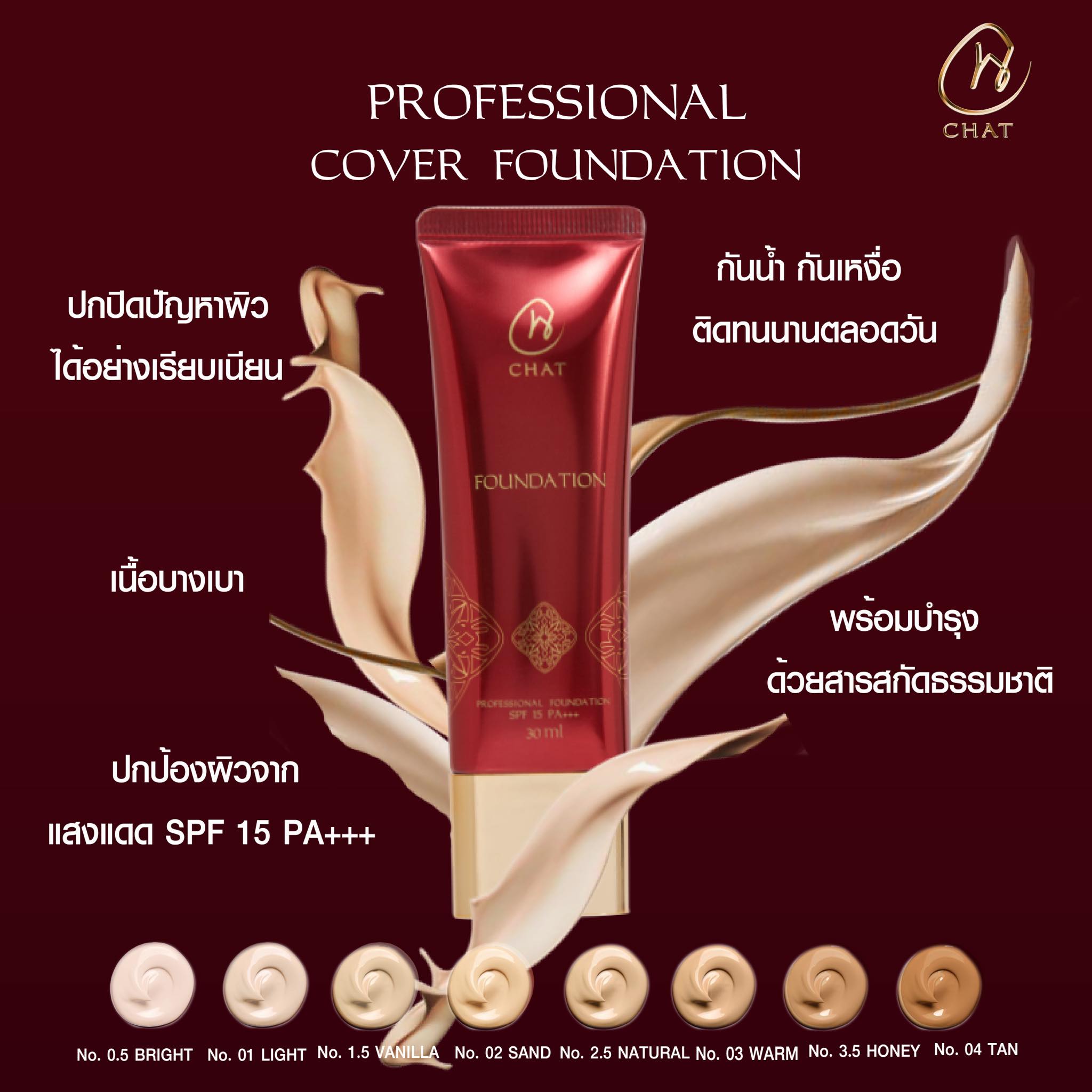 CHAT Professional Foundation ๅๅ